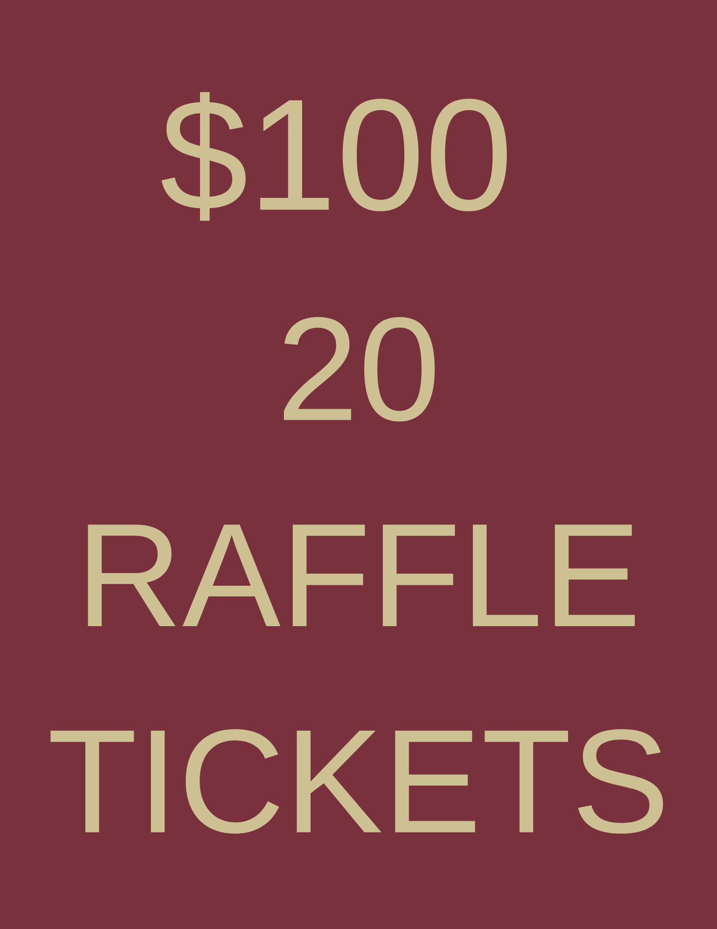 20 Raffle Tickets - $100